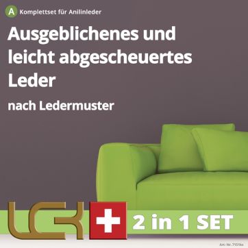 Auffrischungs-Set nach Muster gegen Ausbleichungen auf Rein-Anilin Leder