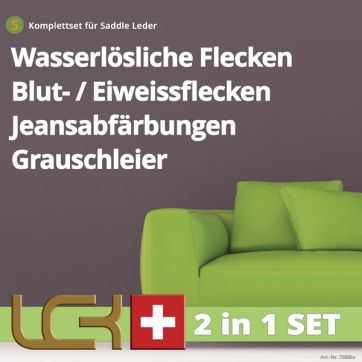 Reinigungs- und Pflegeset gegen wasserlösliche Verschmutzungen auf Saddle-Leder