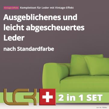 Auffrischungs-Set Standard gegen Ausbleichungen auf Vintage Leder