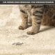 PURATEX® Reinigungs-Set "Dogs & Cats" 3