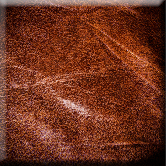 saddle